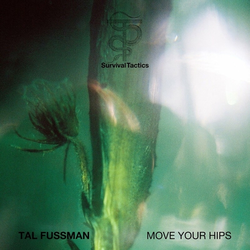 Tal Fussman - Move Your Hips [ST0003]